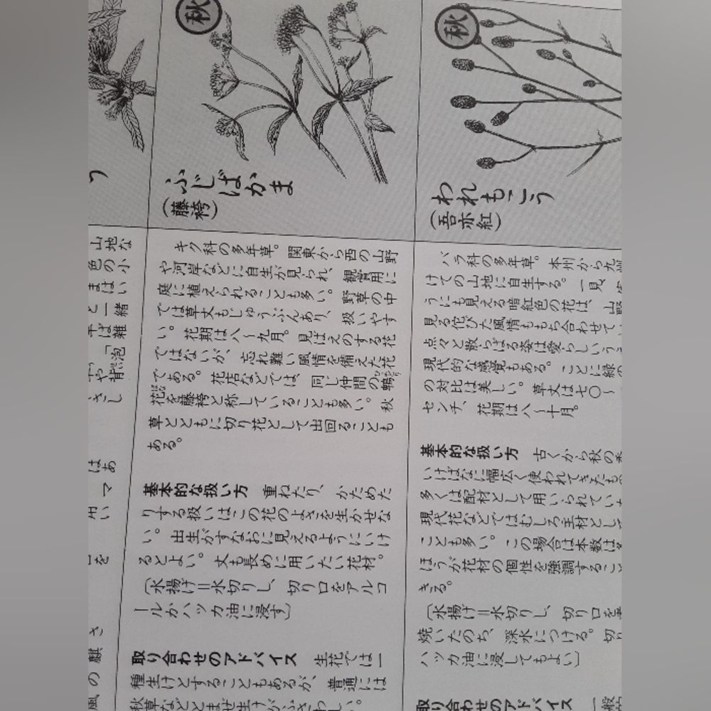 Book of flowers and flower arrangements written in Japanese. - Picture 10 of 12